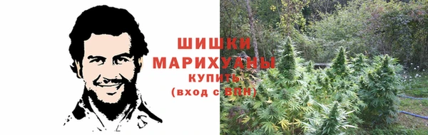 ПСИЛОЦИБИНОВЫЕ ГРИБЫ Абинск
