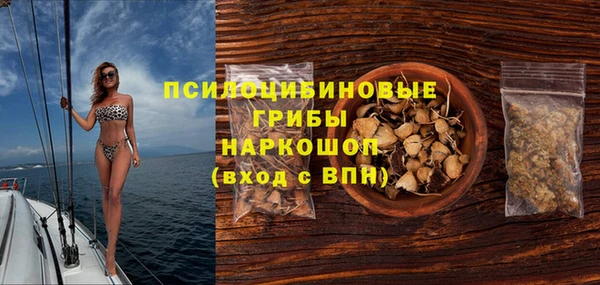 ПСИЛОЦИБИНОВЫЕ ГРИБЫ Новосибирск