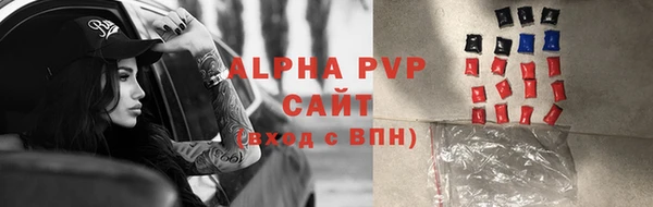 шишки Ессентукская