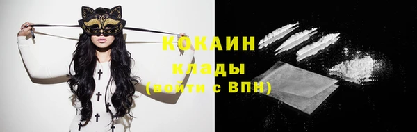 ПСИЛОЦИБИНОВЫЕ ГРИБЫ Новосибирск