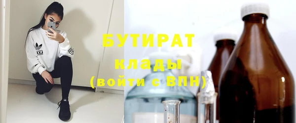 шишки Ессентукская