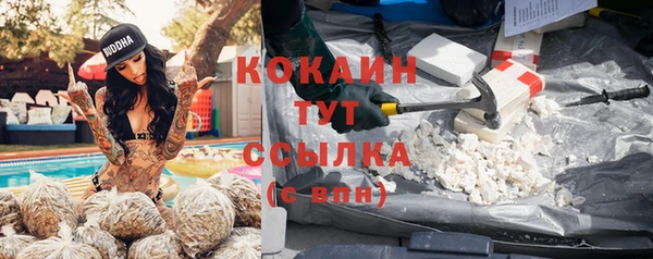 спиды Абаза