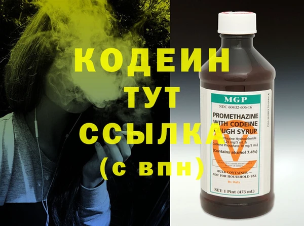 шишки Ессентукская