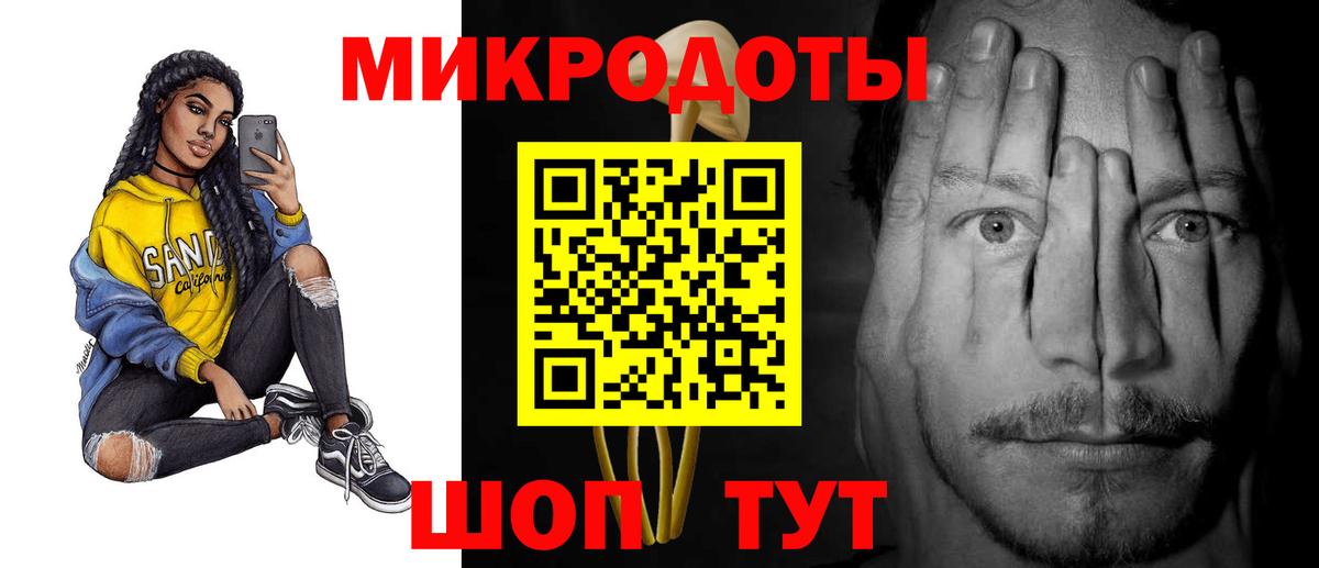 Псилоцибиновые грибы Psilocybe Калининград
